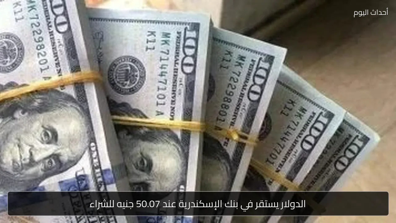 الدولار يستقر في بنك الإسكندرية عند 50.07 جنيه للشراء