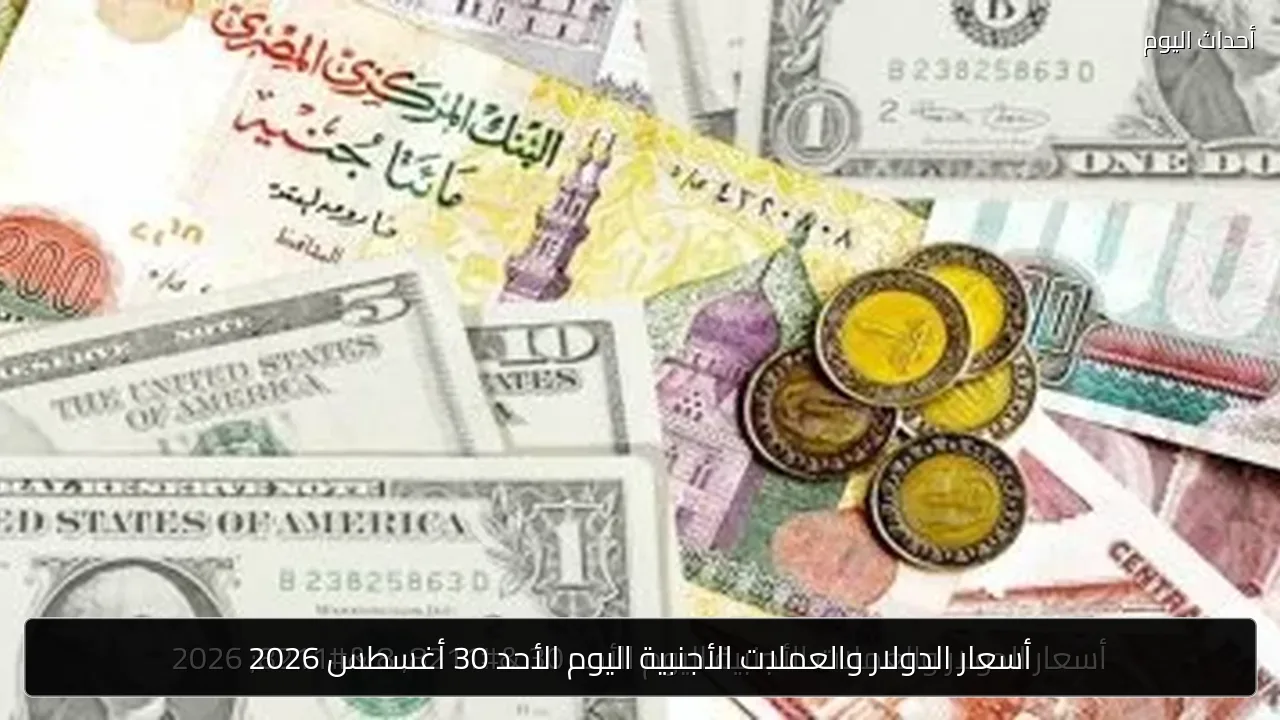 أسعار الدولار والعملات الأجنبية اليوم الأحد 30 أغسطس 2026