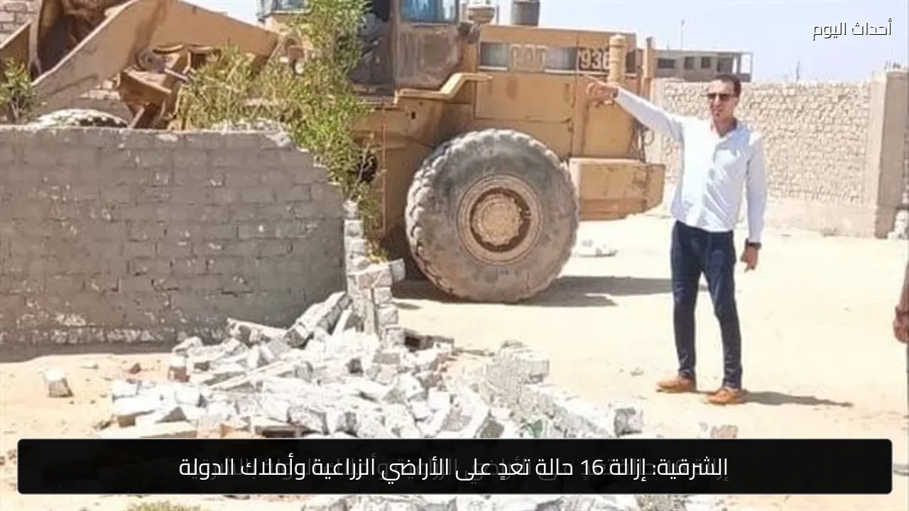 الشرقية: إزالة 16 حالة تعدٍ على الأراضي الزراعية وأملاك الدولة