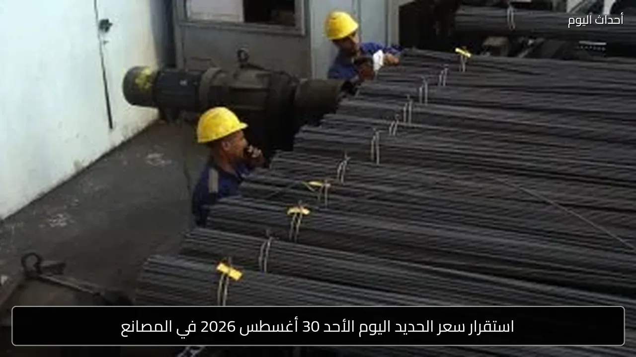 استقرار سعر الحديد اليوم الأحد 30 أغسطس 2026 في المصانع