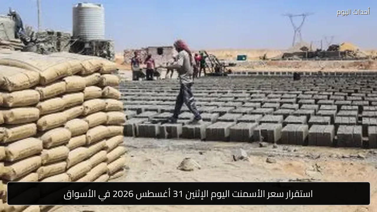 استقرار سعر الأسمنت اليوم الإثنين 31 أغسطس 2026 في الأسواق