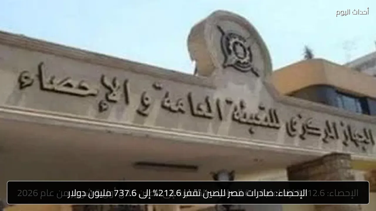 الإحصاء: صادرات مصر للصين تقفز 212.6% إلى 737.6 مليون دولار