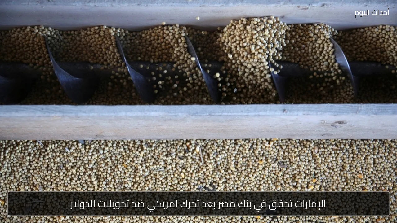 الإمارات تحقق في بنك مصر بعد تحرك أمريكي ضد تحويلات الدولار