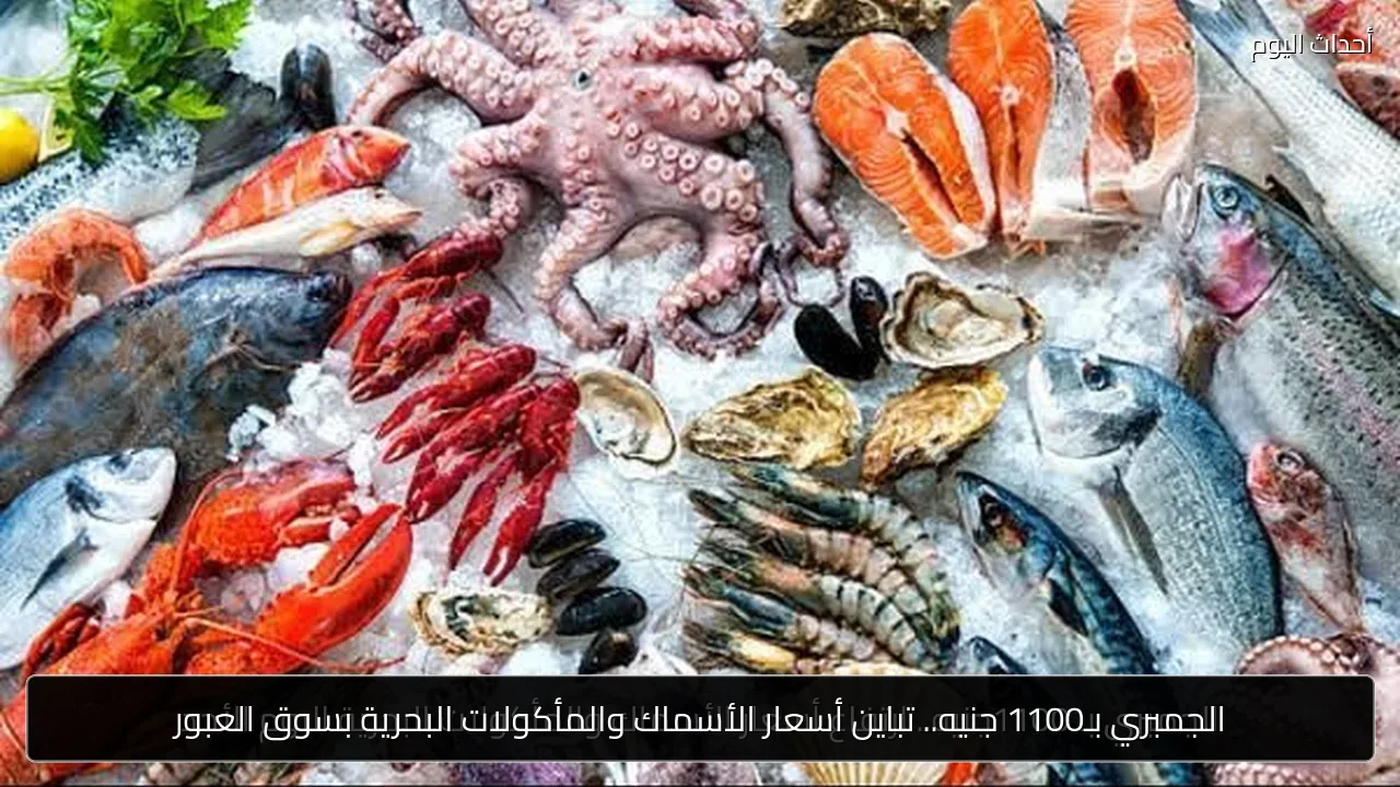 الجمبري بـ1100 جنيه.. تباين أسعار الأسماك والمأكولات البحرية بسوق العبور