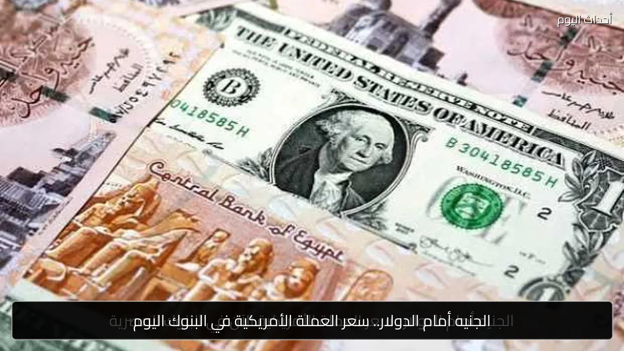 الجنيه أمام الدولار.. سعر العملة الأمريكية في البنوك اليوم