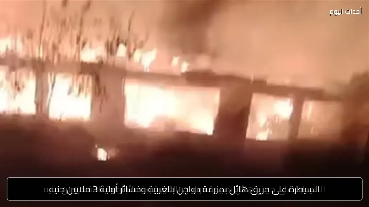 السيطرة على حريق هائل بمزرعة دواجن بالغربية وخسائر أولية 3 ملايين جنيه