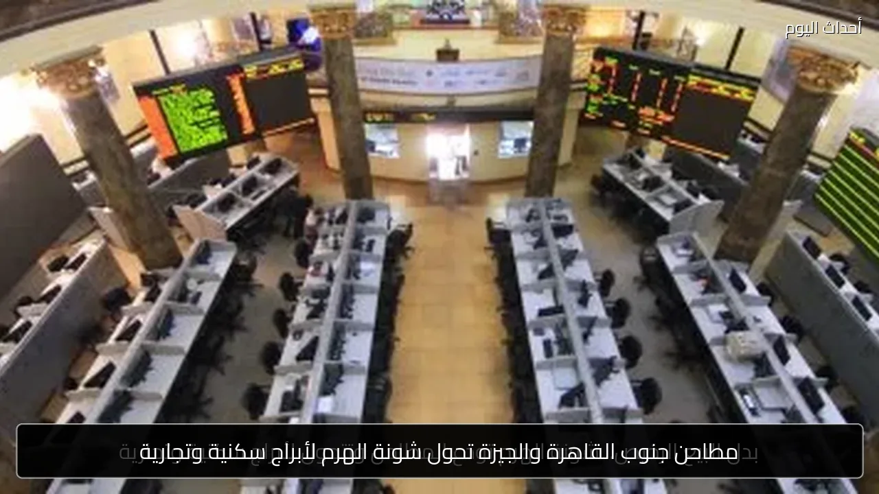 مطاحن جنوب القاهرة والجيزة تحول شونة الهرم لأبراج سكنية وتجارية