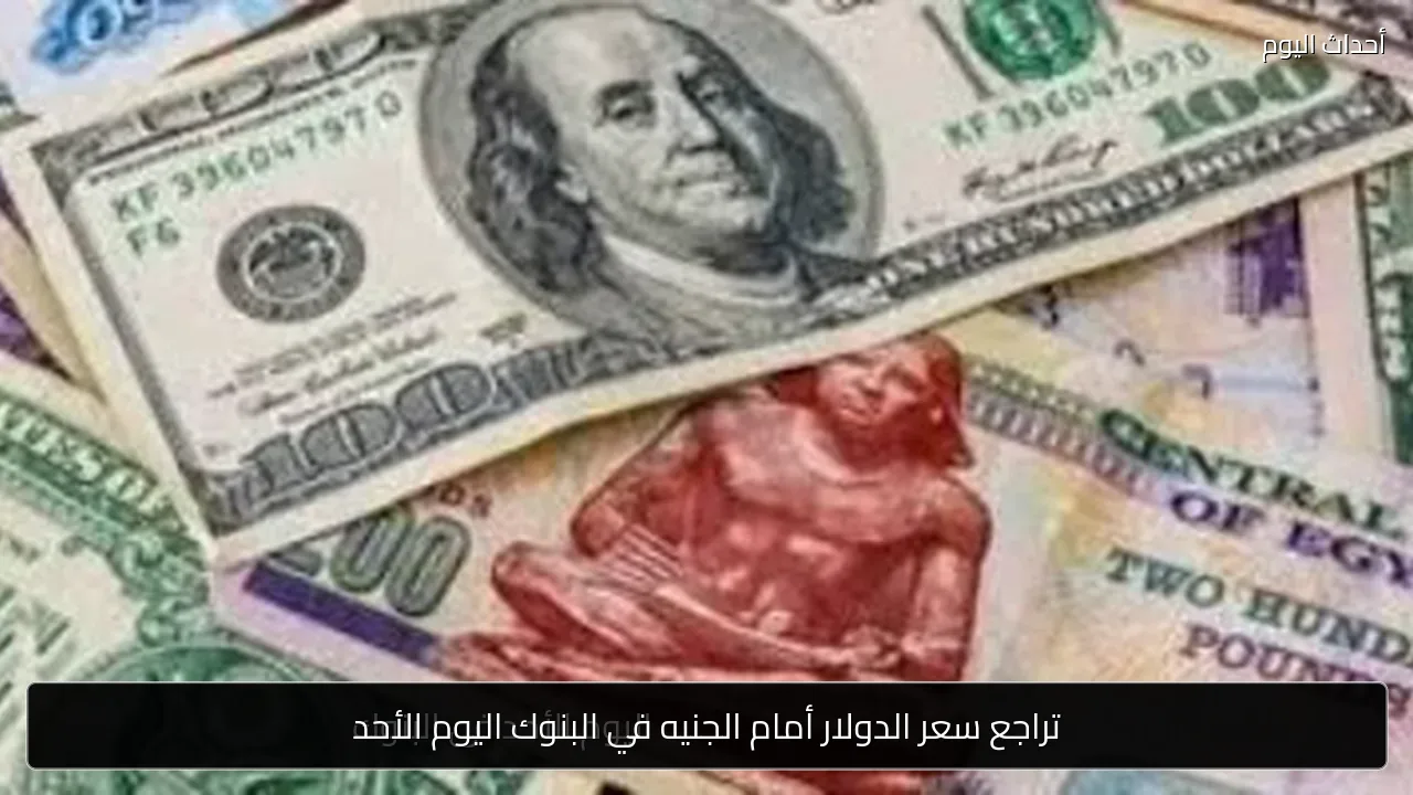 تراجع سعر الدولار أمام الجنيه في البنوك اليوم الأحد