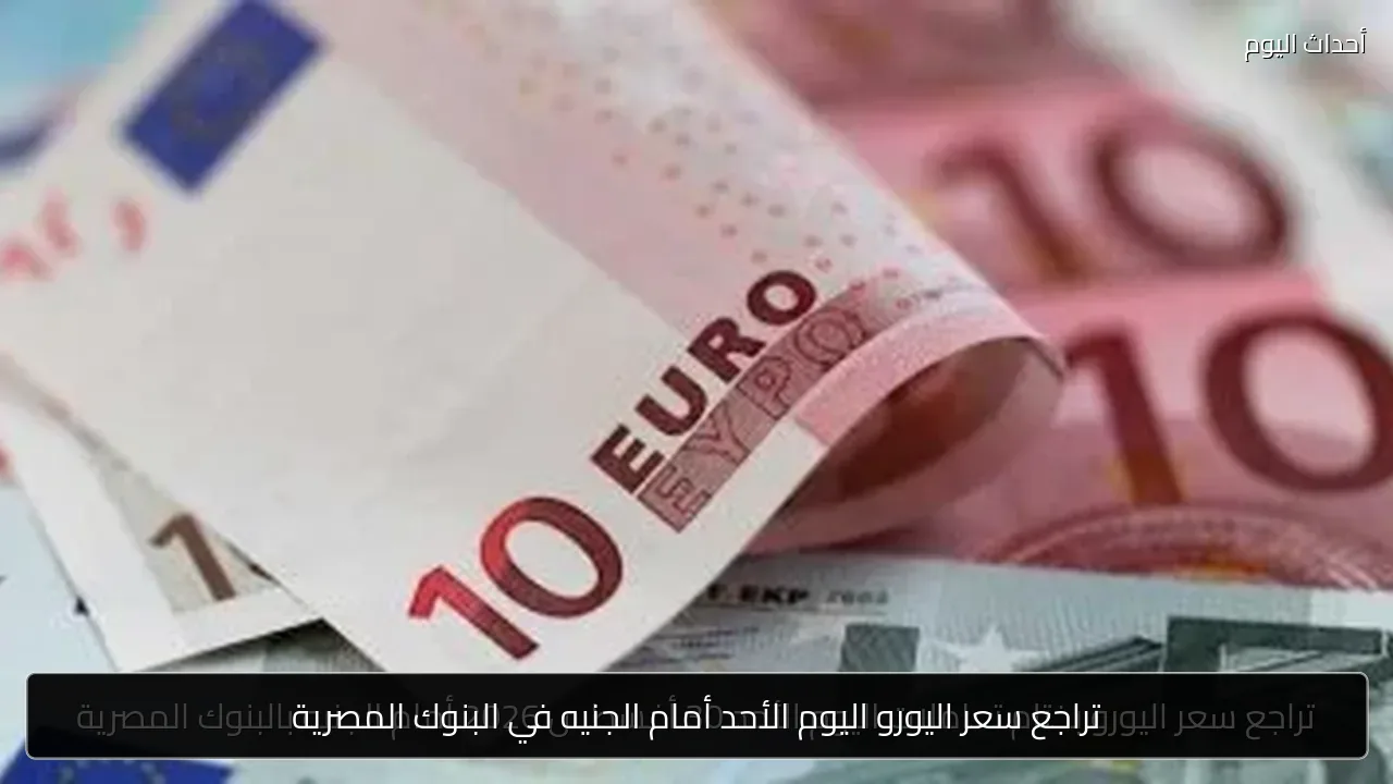 تراجع سعر اليورو اليوم الأحد أمام الجنيه في البنوك المصرية