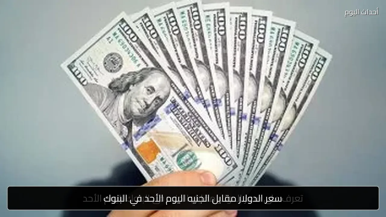سعر الدولار مقابل الجنيه اليوم الأحد في البنوك