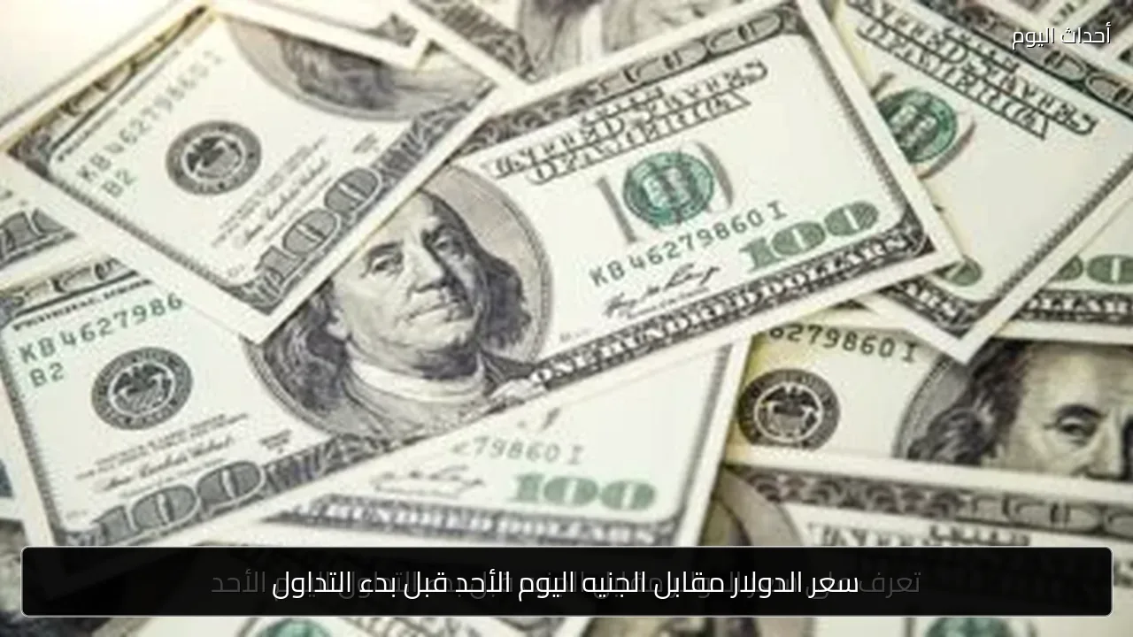 سعر الدولار مقابل الجنيه اليوم الأحد قبل بدء التداول