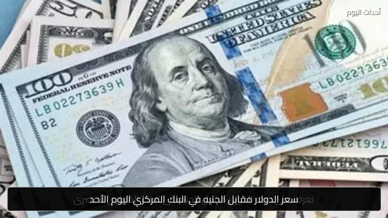 سعر الدولار مقابل الجنيه في البنك المركزي اليوم الأحد