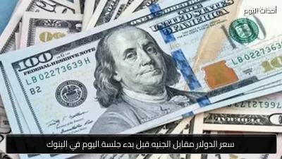 سعر الدولار مقابل الجنيه قبل بدء جلسة اليوم في البنوك
