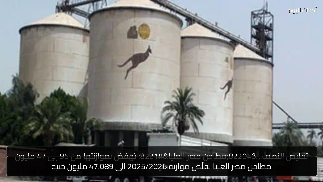 مطاحن مصر العليا تقلّص موازنة 2025/2026 إلى 47.089 مليون جنيه