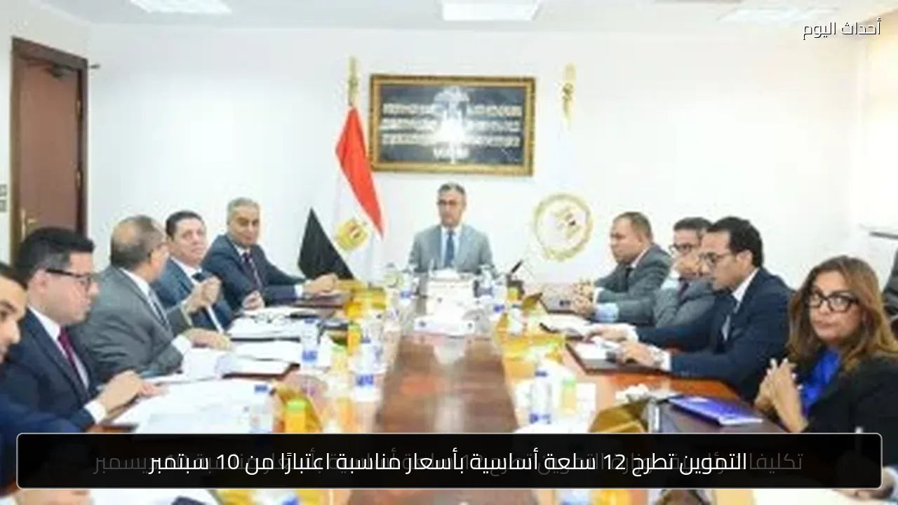 التموين تطرح 12 سلعة أساسية بأسعار مناسبة اعتبارًا من 10 سبتمبر