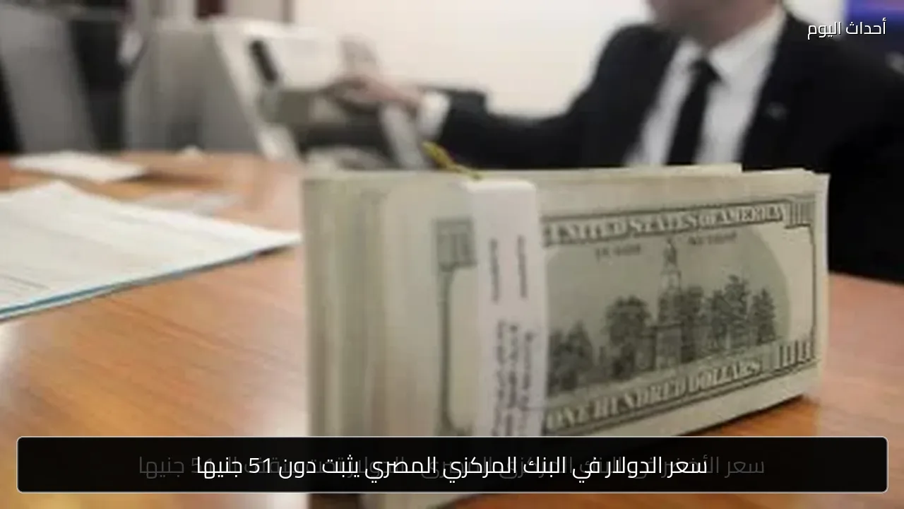 سعر الدولار في البنك المركزي المصري يثبت دون 51 جنيها