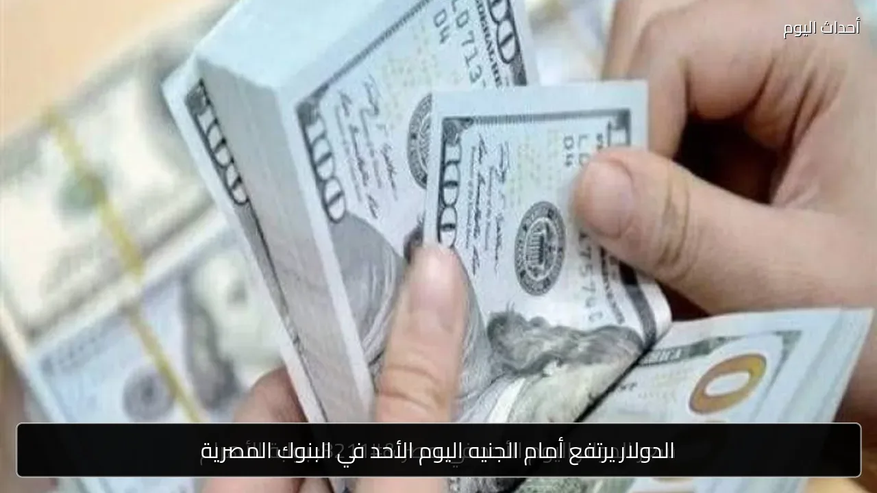 الدولار يرتفع أمام الجنيه اليوم الأحد في البنوك المصرية