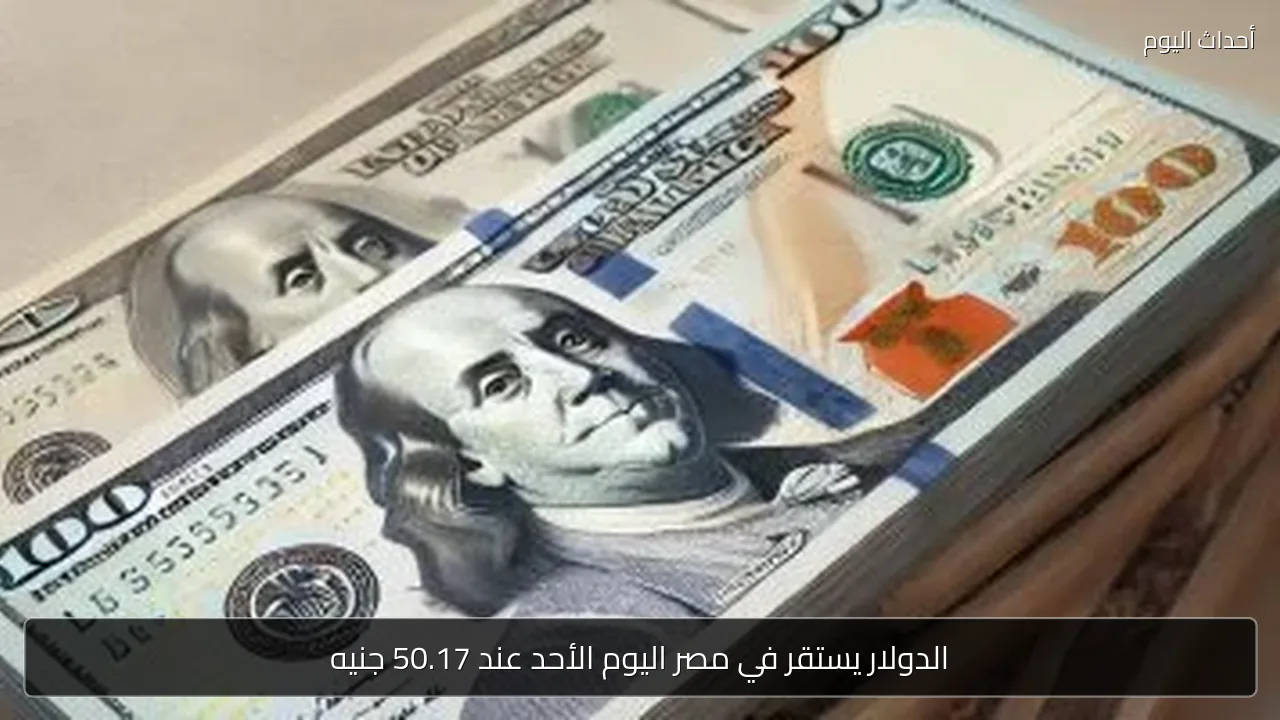 الدولار يستقر في مصر اليوم الأحد عند 50.17 جنيه