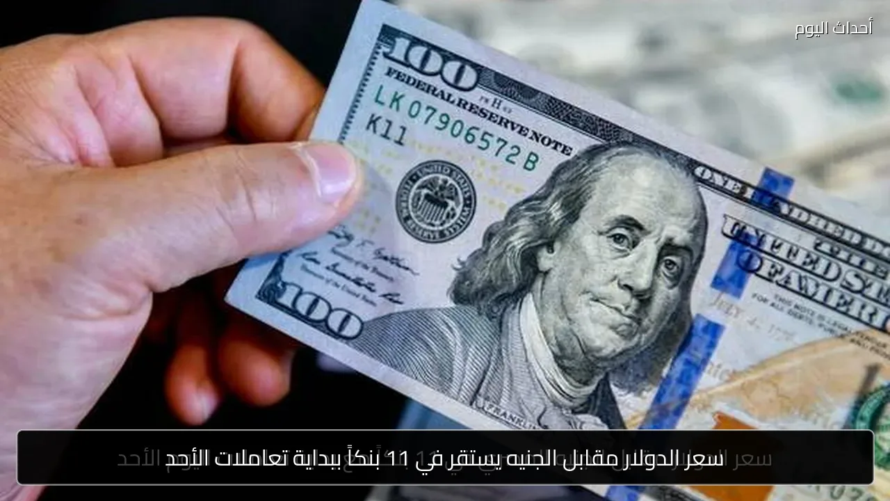 سعر الدولار مقابل الجنيه يستقر في 11 بنكاً ببداية تعاملات الأحد