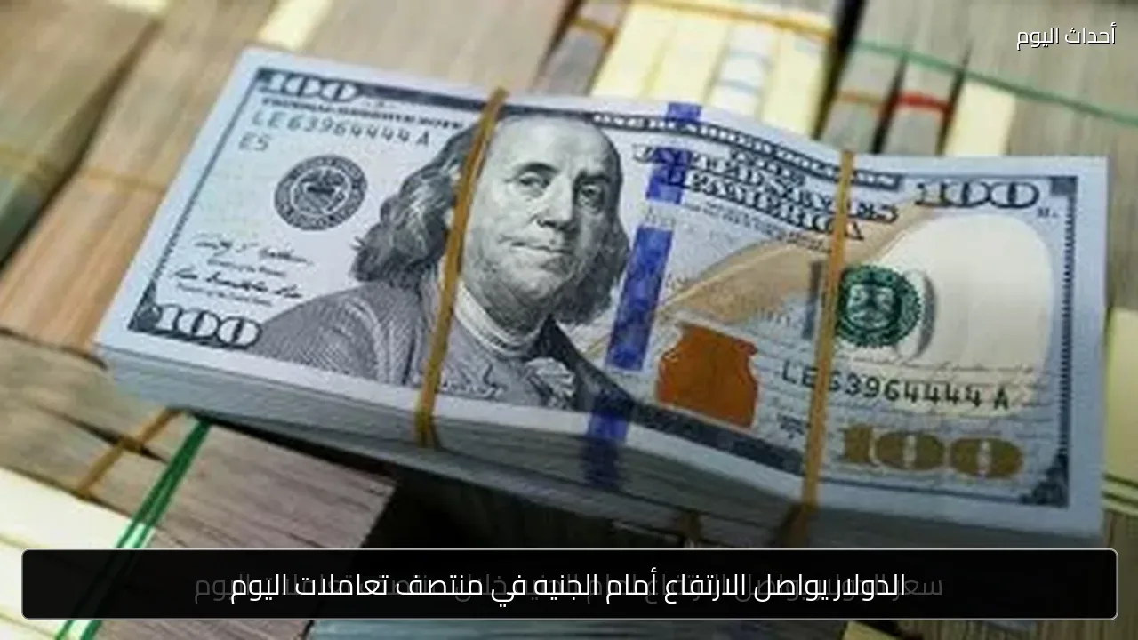 الدولار يواصل الارتفاع أمام الجنيه في منتصف تعاملات اليوم