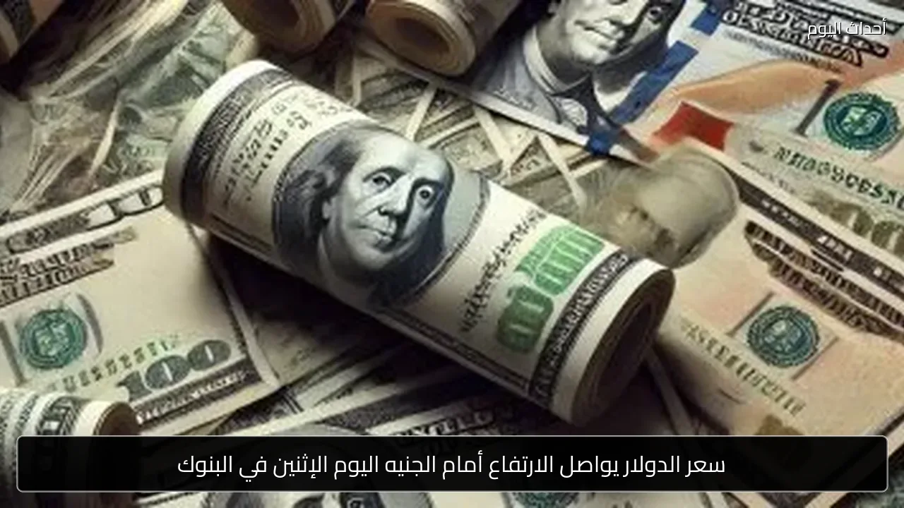 سعر الدولار يواصل الارتفاع أمام الجنيه اليوم الإثنين في البنوك