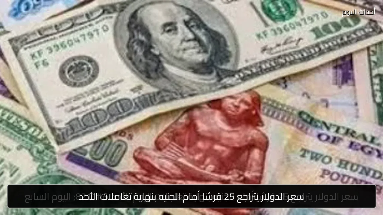 سعر الدولار يتراجع 25 قرشا أمام الجنيه بنهاية تعاملات الأحد