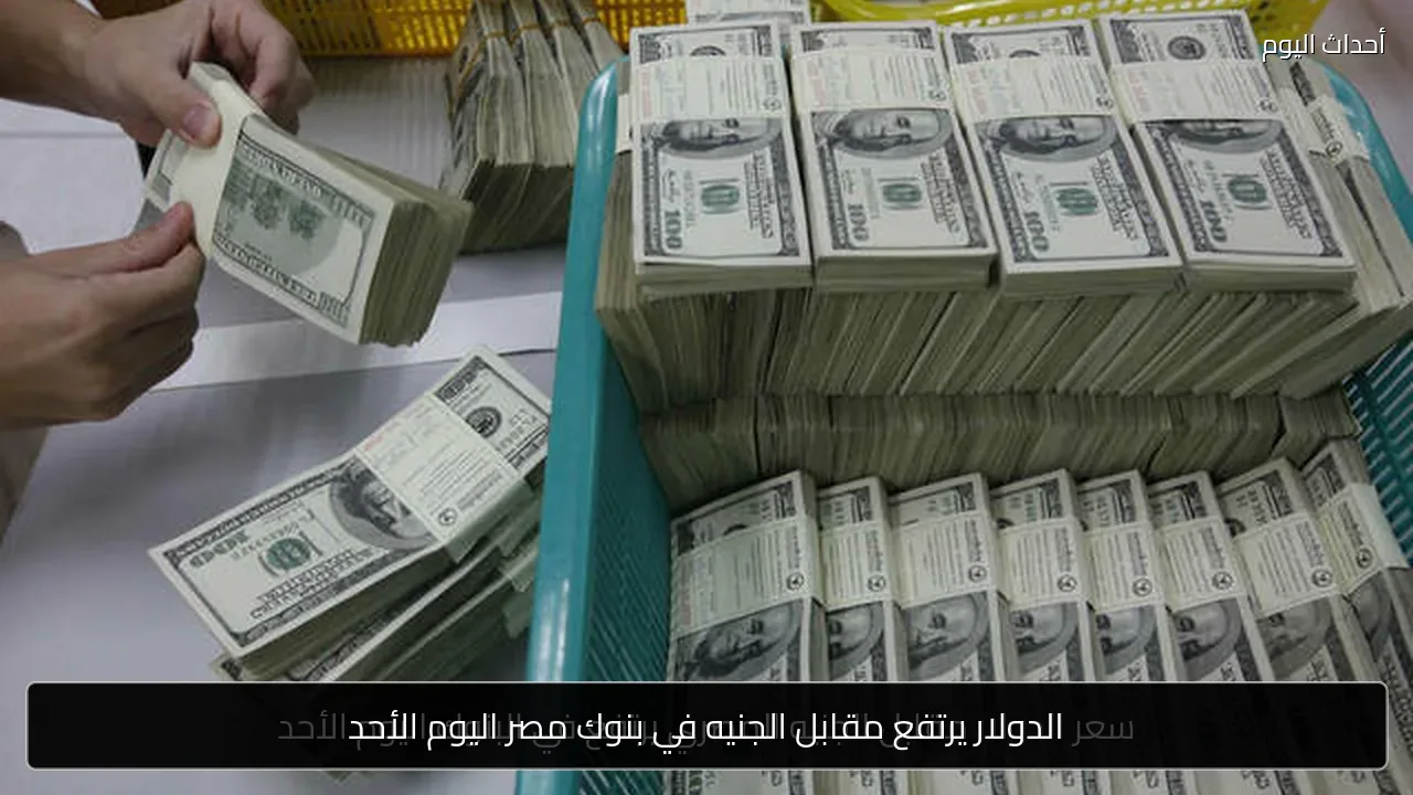 الدولار يرتفع مقابل الجنيه في بنوك مصر اليوم الأحد
