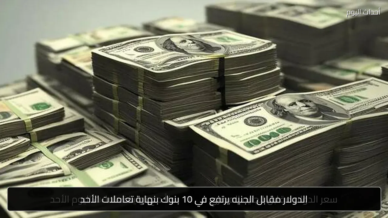الدولار مقابل الجنيه يرتفع في 10 بنوك بنهاية تعاملات الأحد
