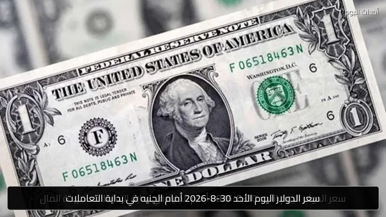 سعر الدولار اليوم الأحد 30-8-2026 أمام الجنيه في بداية التعاملات