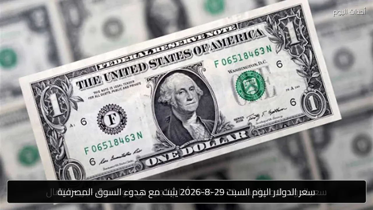 سعر الدولار اليوم السبت 29-8-2026 يثبت مع هدوء السوق المصرفية