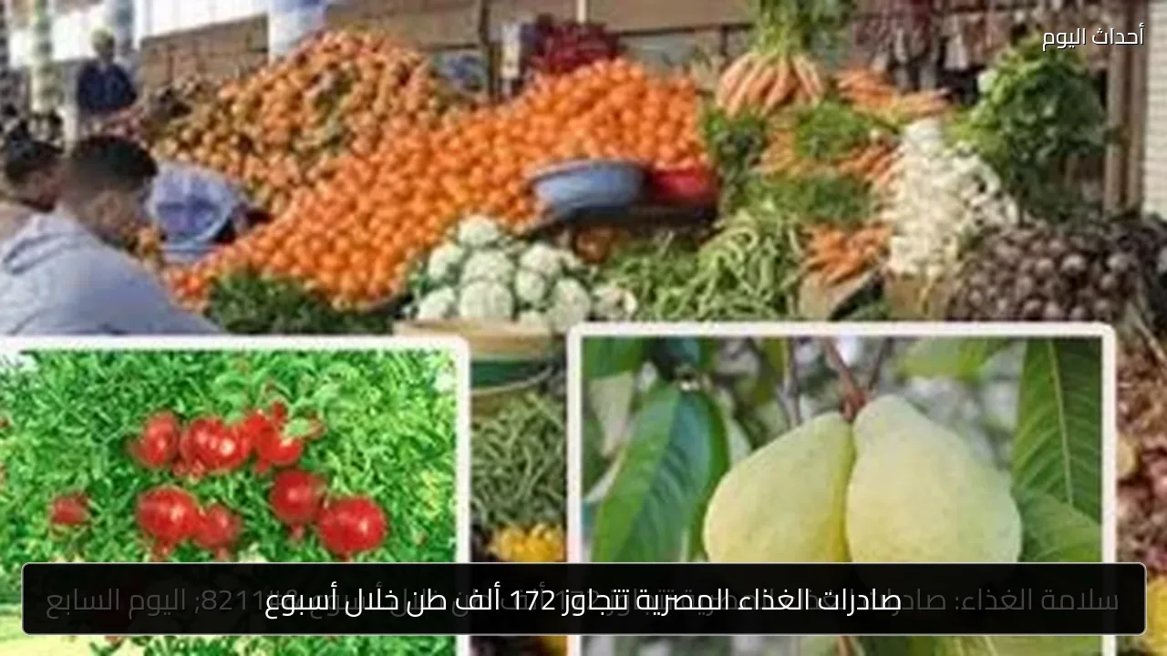 صادرات الغذاء المصرية تتجاوز 172 ألف طن خلال أسبوع