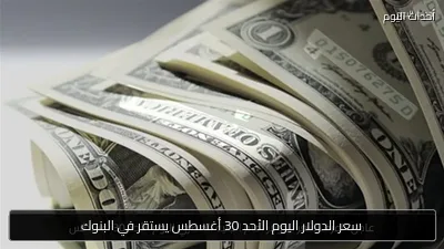 سعر الدولار اليوم الأحد 30 أغسطس يستقر في البنوك