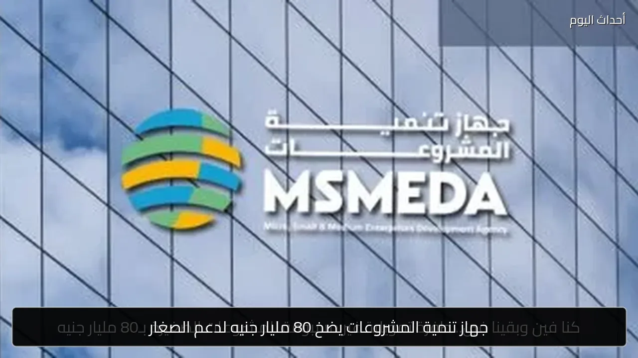 جهاز تنمية المشروعات يضخ 80 مليار جنيه لدعم الصغار
