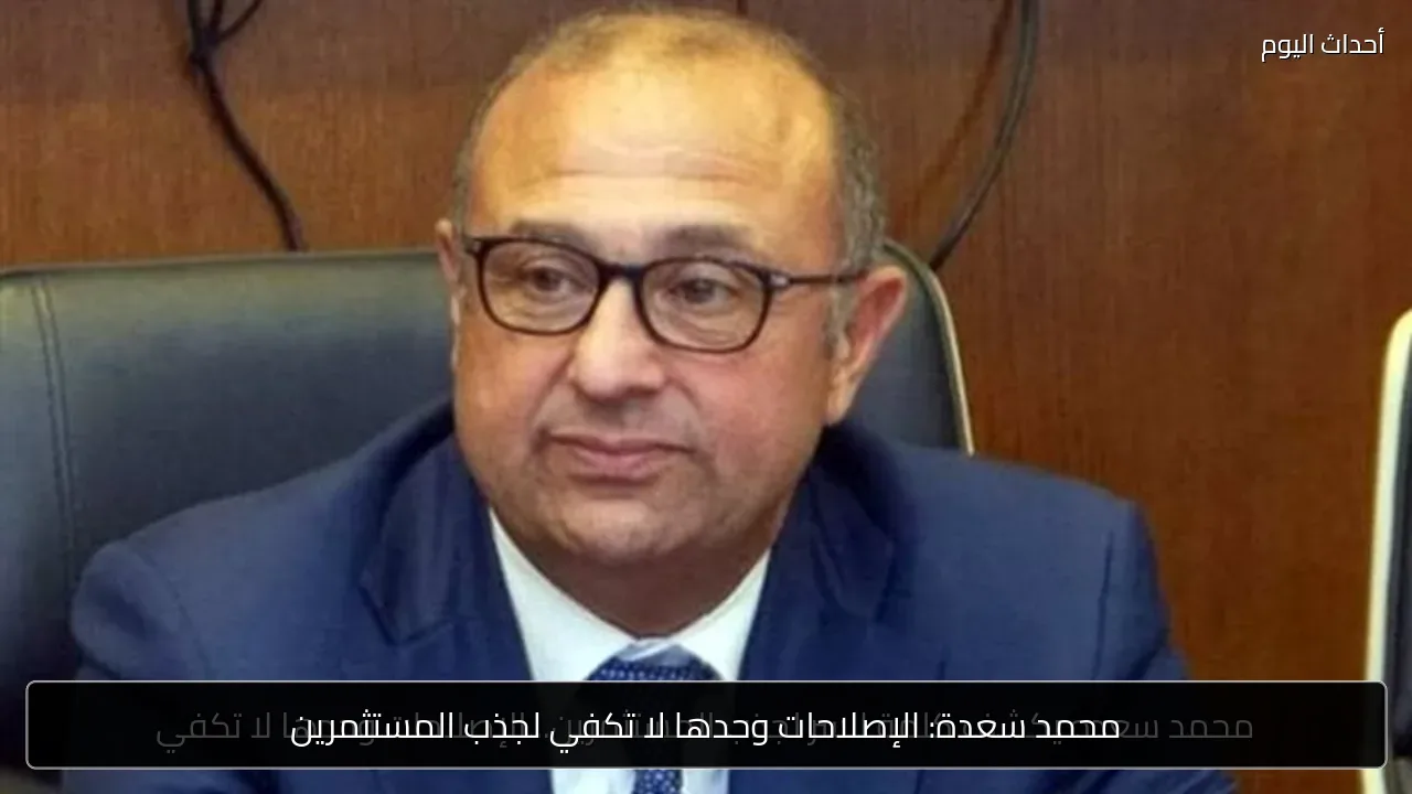محمد سعدة: الإصلاحات وحدها لا تكفي لجذب المستثمرين