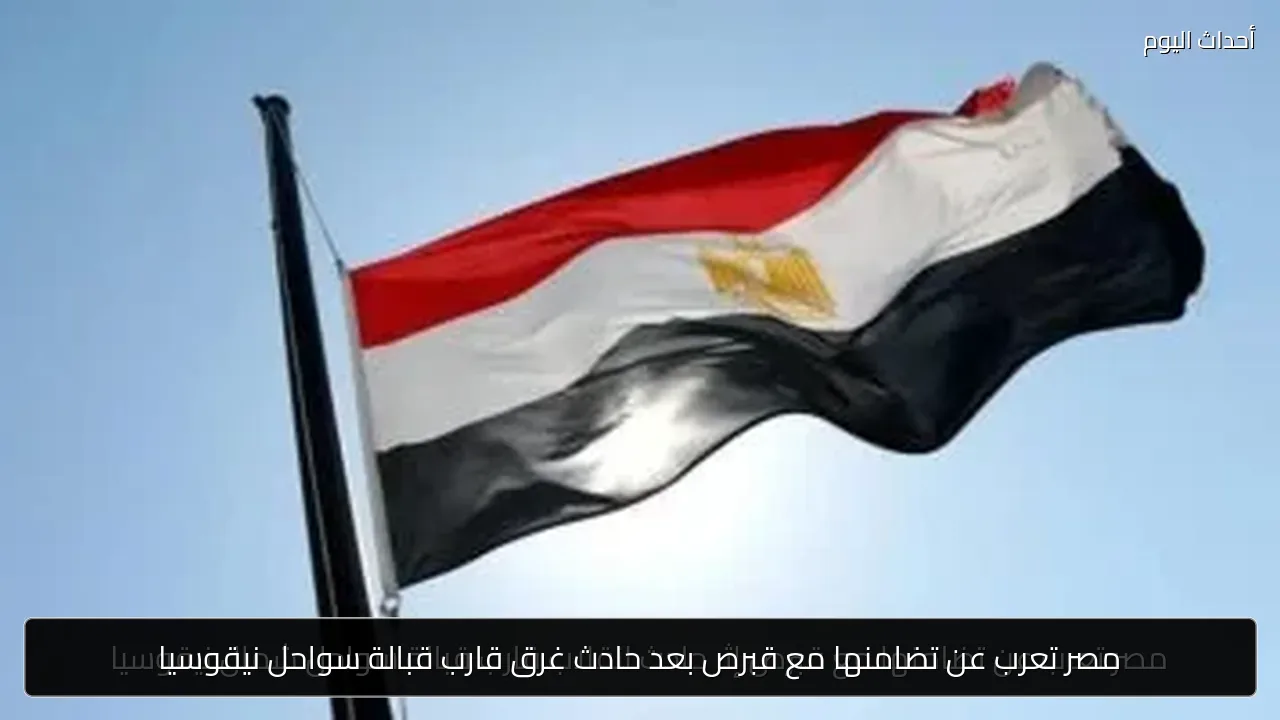 مصر تعرب عن تضامنها مع قبرص بعد حادث غرق قارب قبالة سواحل نيقوسيا
