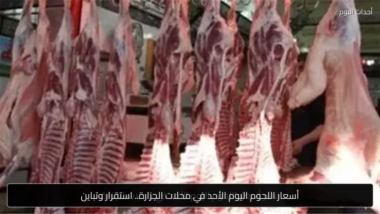 أسعار اللحوم اليوم الأحد في محلات الجزارة.. استقرار وتباين