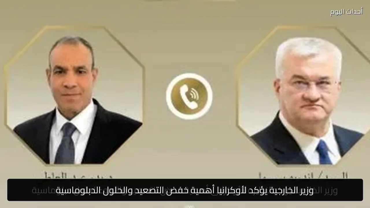 وزير الخارجية يؤكد لأوكرانيا أهمية خفض التصعيد والحلول الدبلوماسية