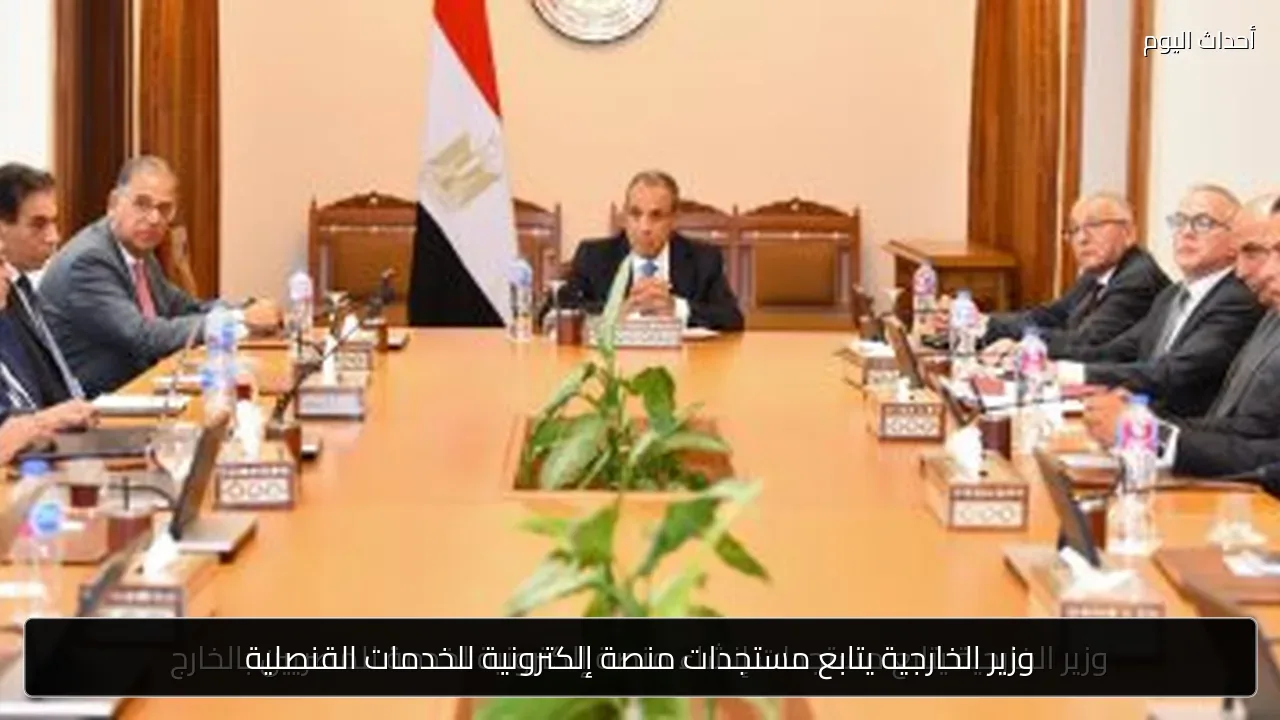 وزير الخارجية يتابع مستجدات منصة إلكترونية للخدمات القنصلية