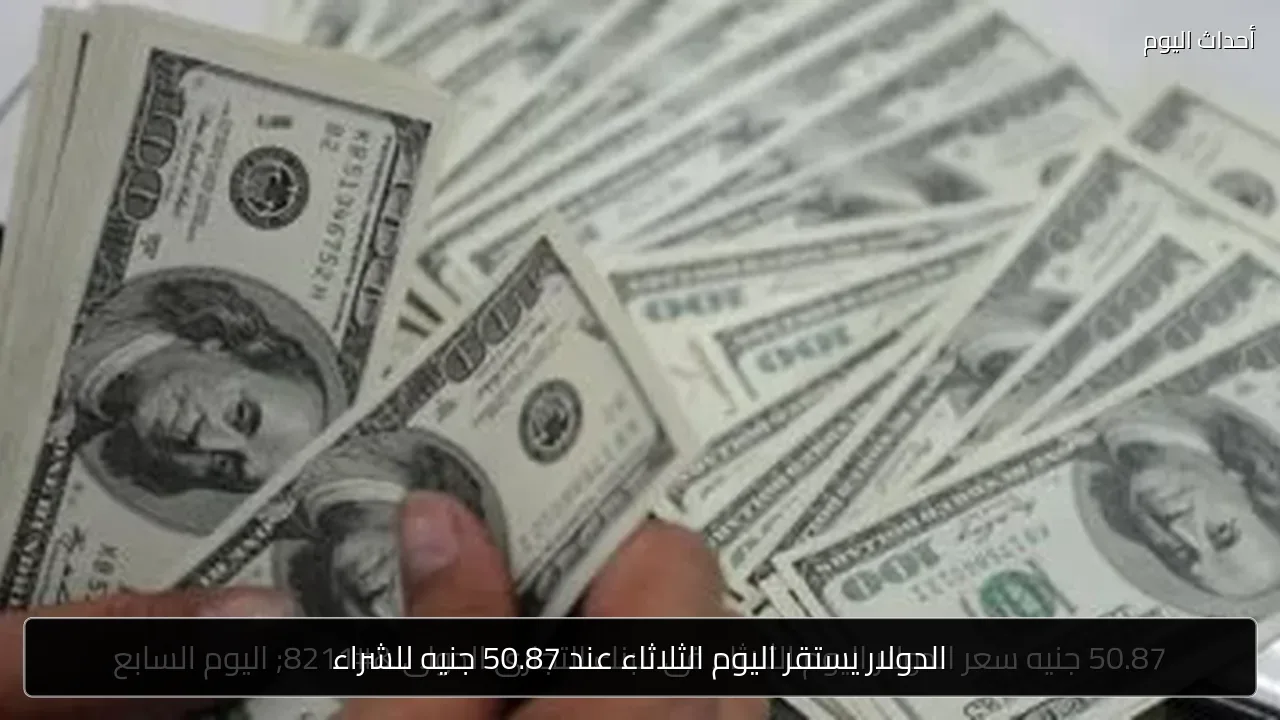 الدولار يستقر اليوم الثلاثاء عند 50.87 جنيه للشراء