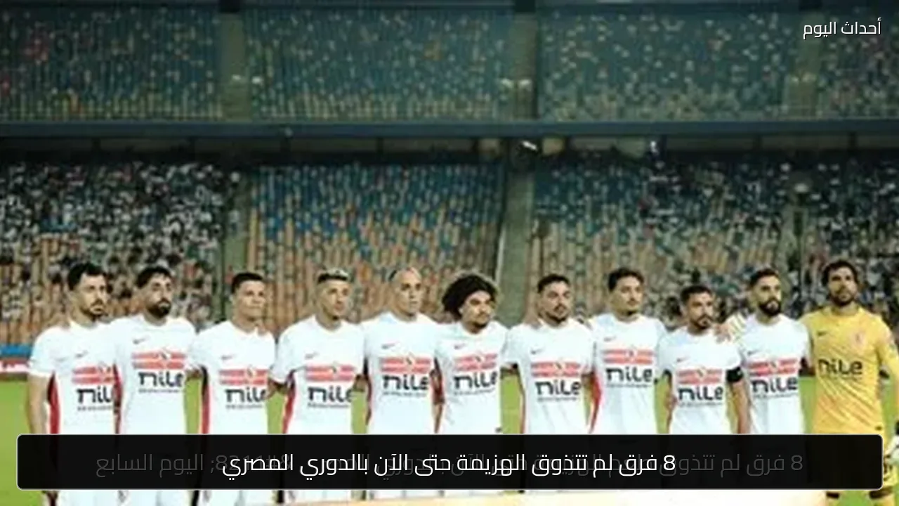 8 فرق لم تتذوق الهزيمة حتى الآن بالدوري المصري