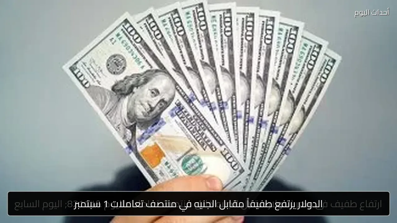 الدولار يرتفع طفيفاً مقابل الجنيه في منتصف تعاملات 1 سبتمبر