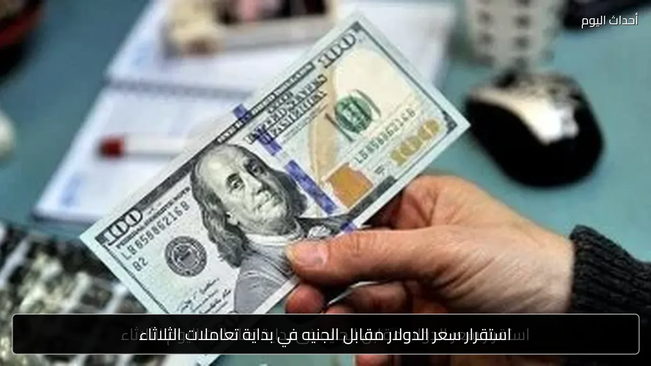 استقرار سعر الدولار مقابل الجنيه في بداية تعاملات الثلاثاء