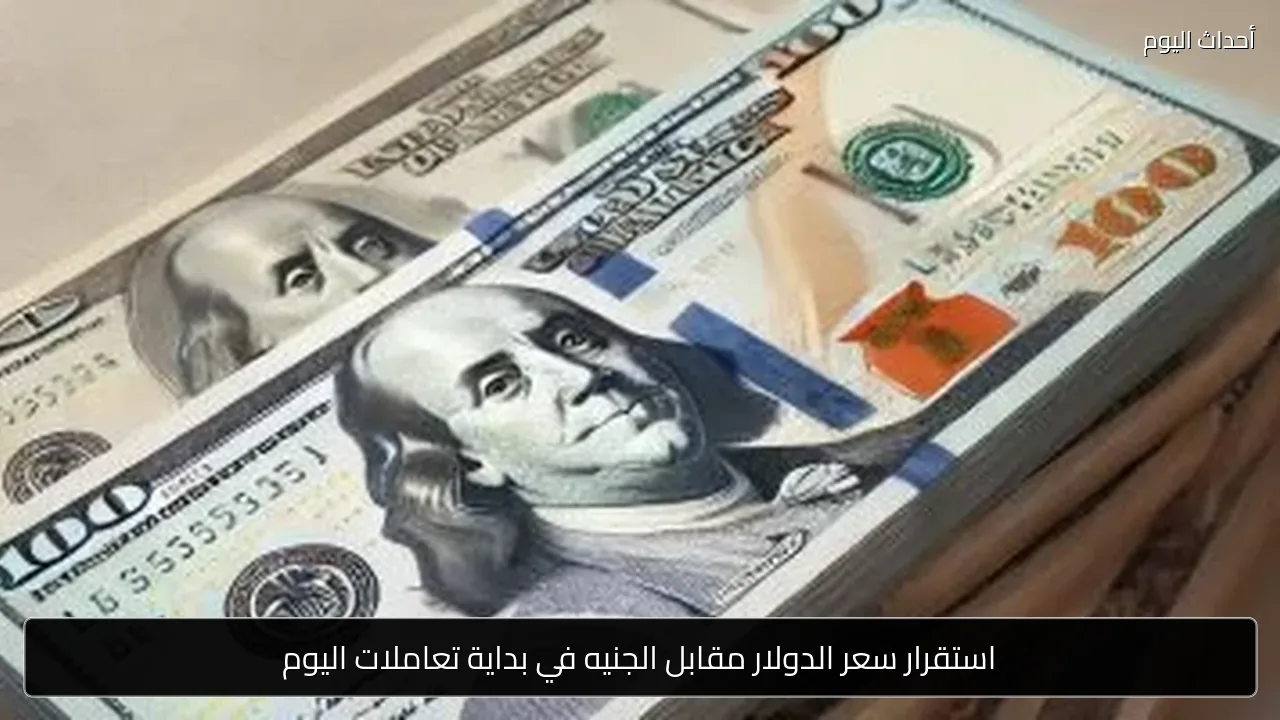 استقرار سعر الدولار مقابل الجنيه في بداية تعاملات اليوم
