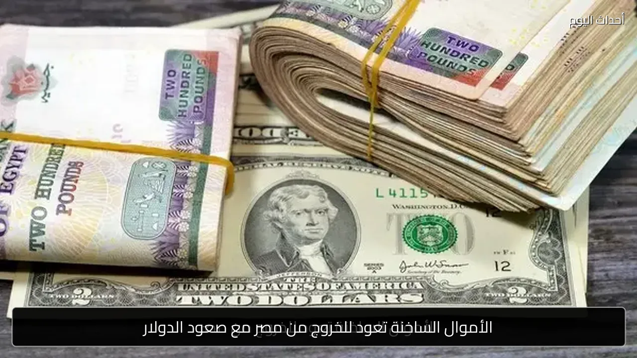 الأموال الساخنة تعود للخروج من مصر مع صعود الدولار