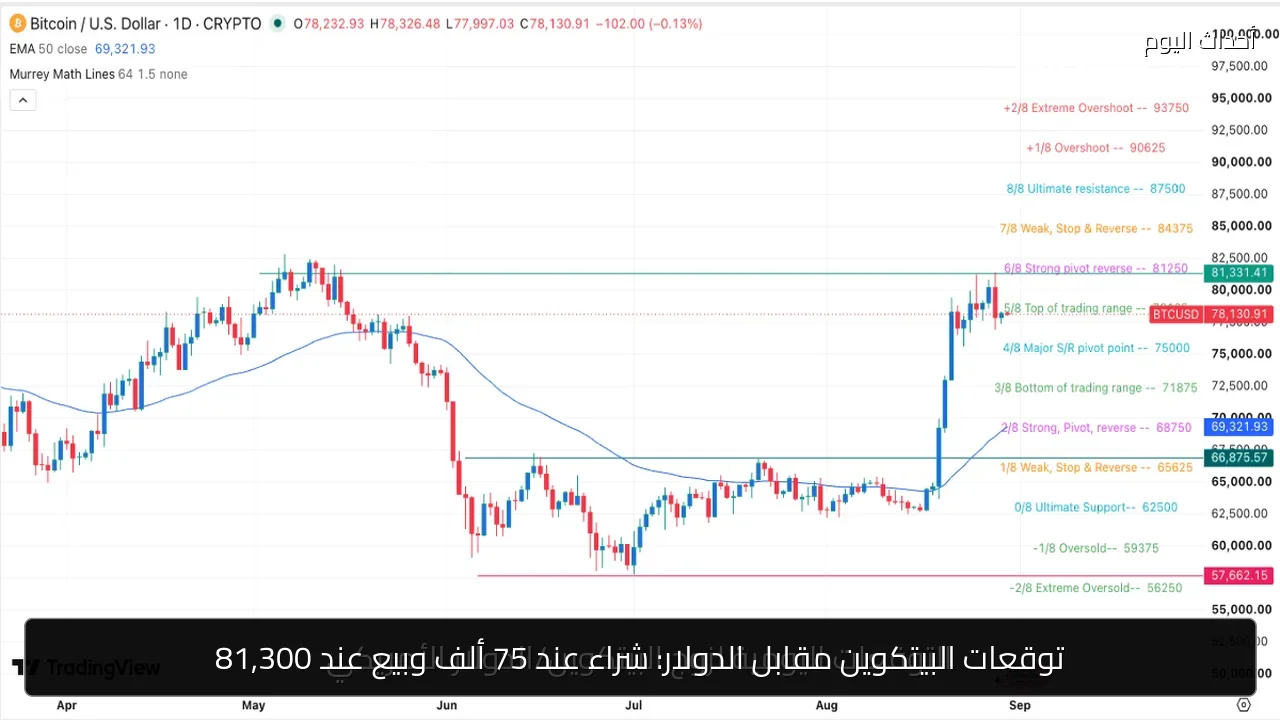 توقعات البيتكوين مقابل الدولار: شراء عند 75 ألف وبيع عند 81,300