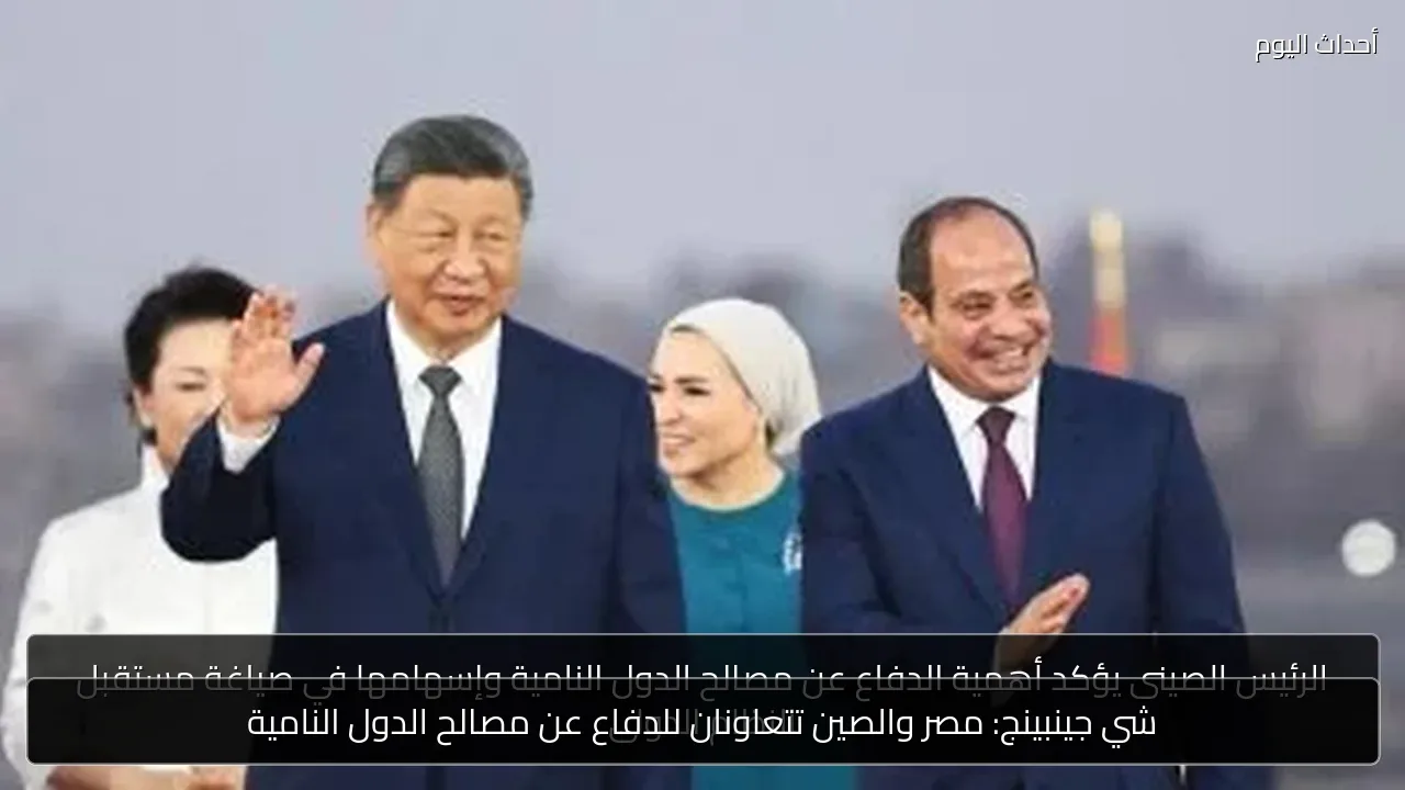 شي جينبينج: مصر والصين تتعاونان للدفاع عن مصالح الدول النامية