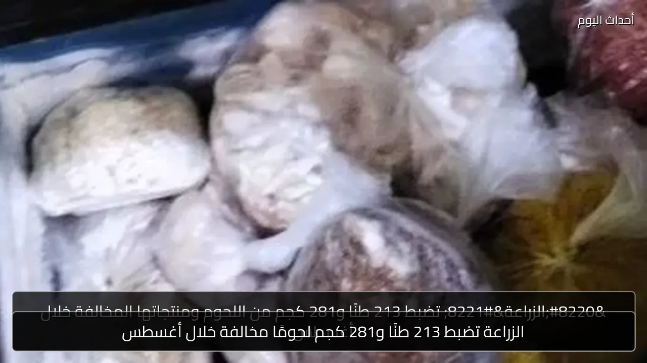 الزراعة تضبط 213 طنًا و281 كجم لحومًا مخالفة خلال أغسطس
