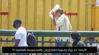 الأرصاد: حار نهارًا وشبورة مائية ورياح.. والمحسوسة بالقاهرة 37