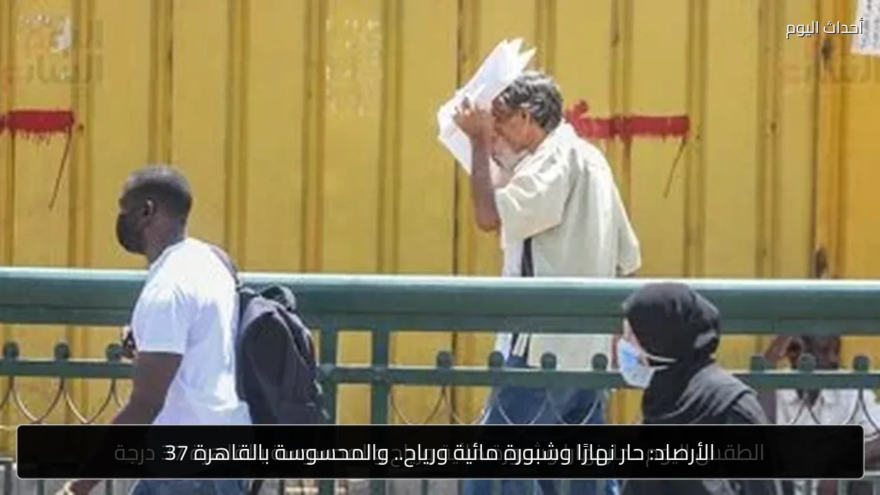 الأرصاد: حار نهارًا وشبورة مائية ورياح.. والمحسوسة بالقاهرة 37