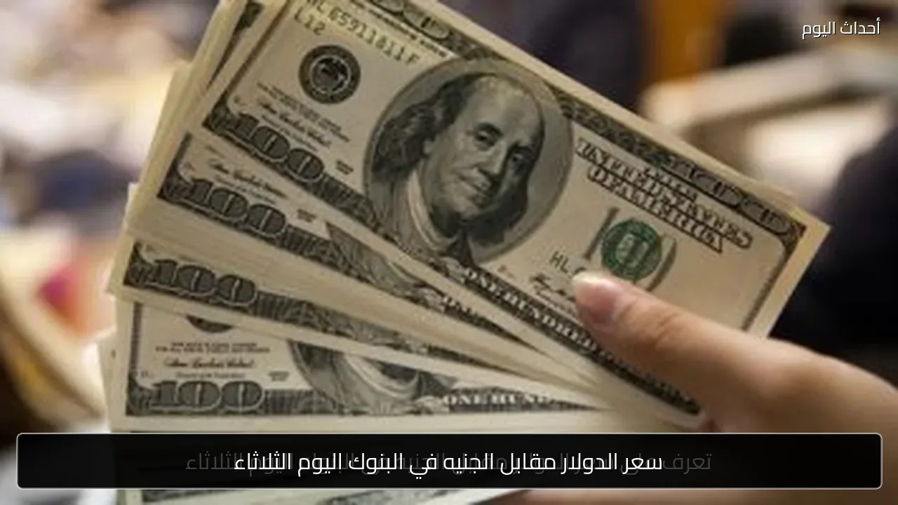 سعر الدولار مقابل الجنيه في البنوك اليوم الثلاثاء